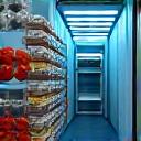 Refrigerated truck interior with packed goods