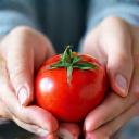Hands inspecting fresh produce