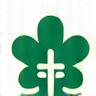 Leaf with health cross icon representing safety